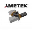CHARBON AMETEK DL150B
